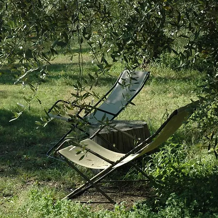 Bauernhof Tenuta La Pergola Bardolino