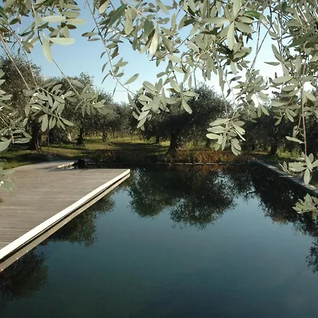 Tenuta La Pergola * Bardolino