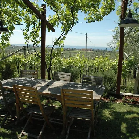 Tenuta La Pergola * Bardolino
